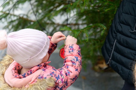 2 Okrasitev smreke v trškem jedru
